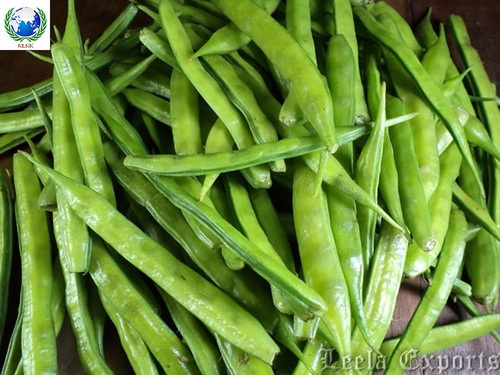 plasmacluster ion air purifiers