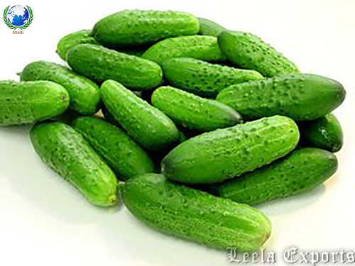 cucumbers