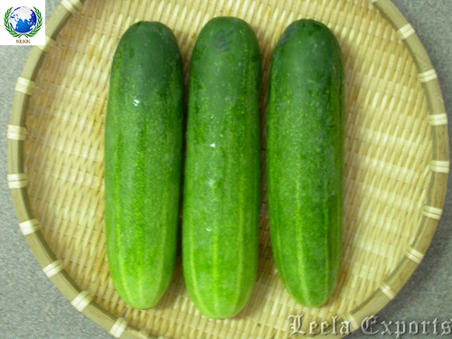 cucumber
