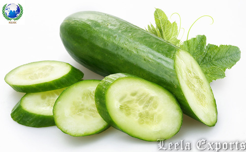 cucumber pickles