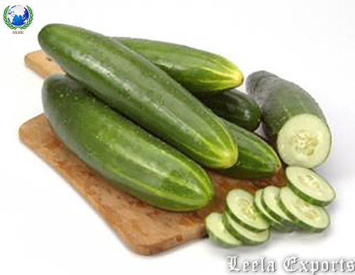 cucumber gel