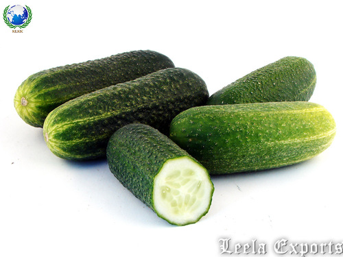 canned cucumbers