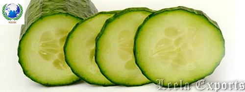 cucumber juice manufacturers in karnataka