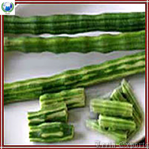 drumstick leaf powder