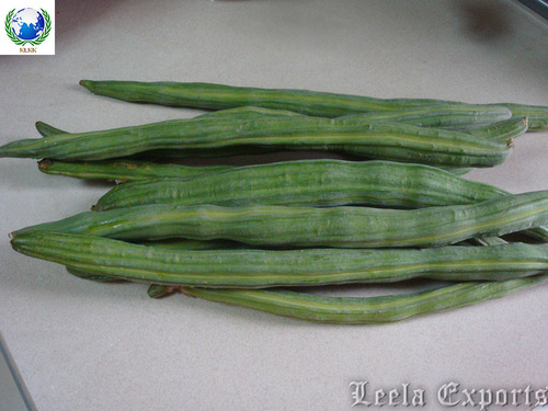 fresh organic drumsticks