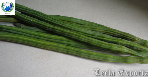 drumstic vegetables dealers