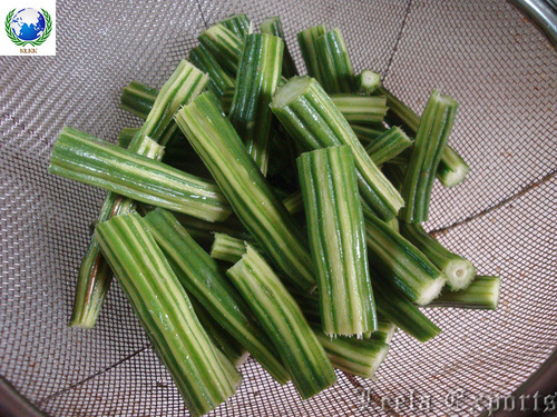 drumstic vegetables dealers in tamilnadu