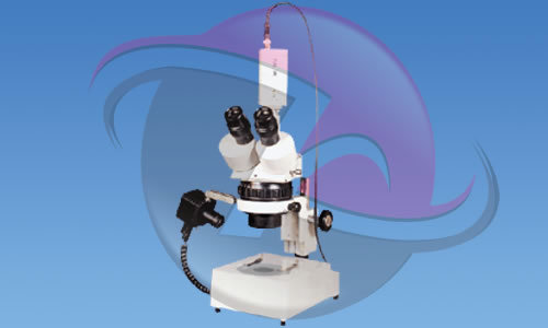 zoom Microscope