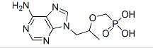 Tenofovir(PMPA)/ 147127-20-6