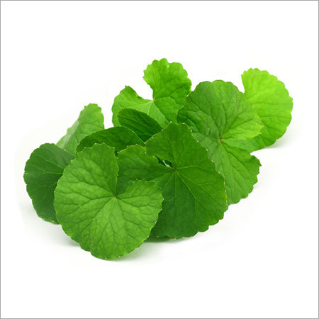 Brahmi