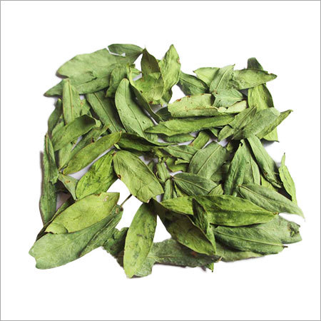 Senna Leaves