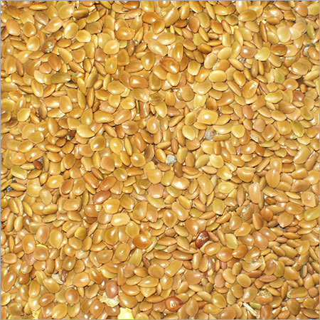 Forest Seeds