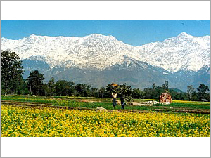 Himachal Tour Packages