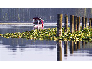 Kashmir Travel Packages