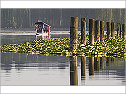 Kashmir Tour Package