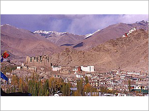 Ladakh Tour Trip Package