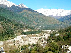 Kullu Manali Honeymoon Packages