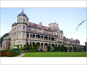 Shimla Honeymoon Tour Package