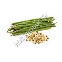 Moringa Seed Oil Cas No: 93165-54