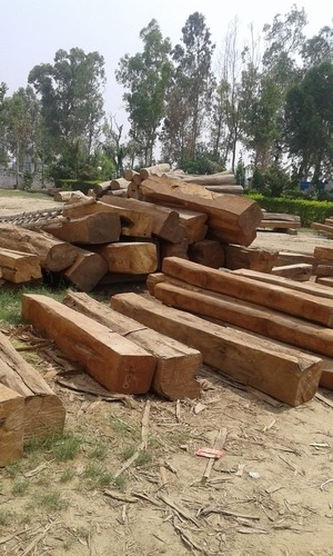Square Sudan Teak Wood