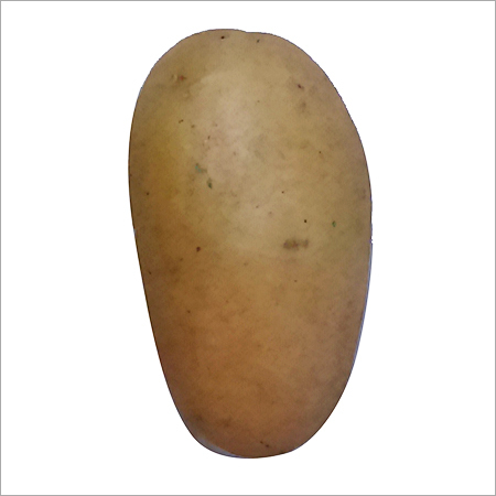 Organic Potato