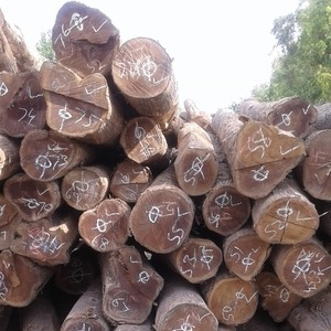 Sudan Teak Wood