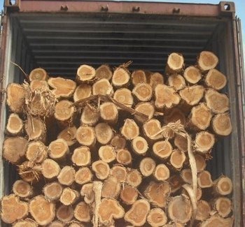 Costa Rica Teak Wood