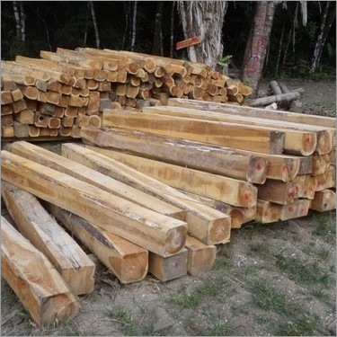 Ecuador Teak Wood