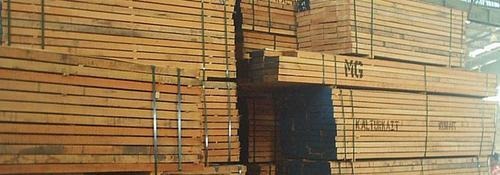 Kapur Wood Timber