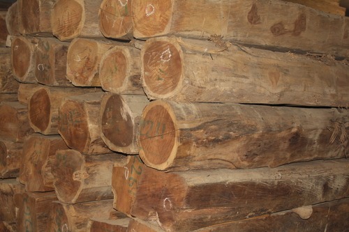 Ivory Coast Teak Wood