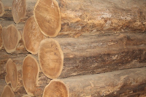 Ivory Coast Teak Logs