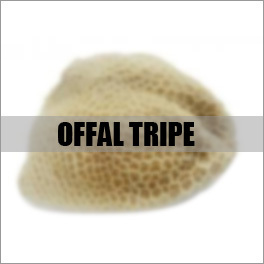 OFFAL TRIPE