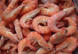Fresh Shrimps