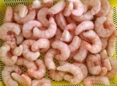 BLANCHED PUD - Pink, Frozen Shrimp, Bulk Packaging | Fresh Taste, Easy to Cook, Versatile Use, Ready to Use