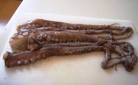 CUTTLEFISH TENTACLES RAW