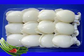 CUTTLEFISH FILLET-RAW
