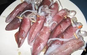 STUFFED SQUID RAW - Pinkish-White, Illex Illecebrosus | Fresh, Ready to Cook, Sustainable, Bulk Pack, Refrigerated