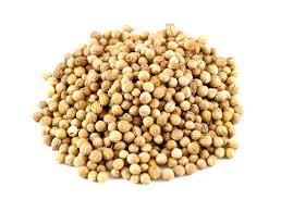 CORIANDER SEEDS