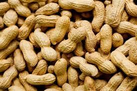 Peanut Kernels