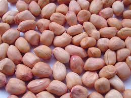GROUNDNUTS KERNELS