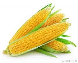 CORN