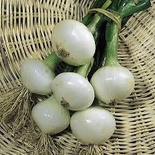 Picked Vegetables