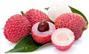 LITCHI