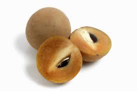 SAPOTA