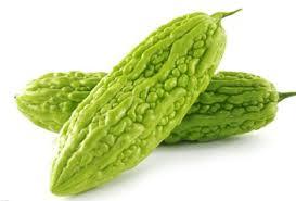 BITTER GOURD