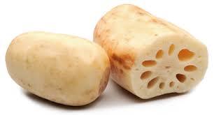 LOTUS ROOT