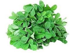FENUGREEK