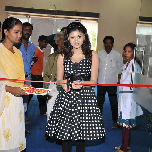 Product Launches