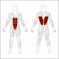 Abdominal Back Map