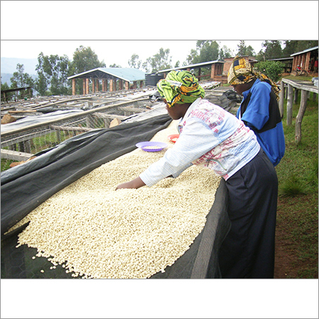Organic Coffee